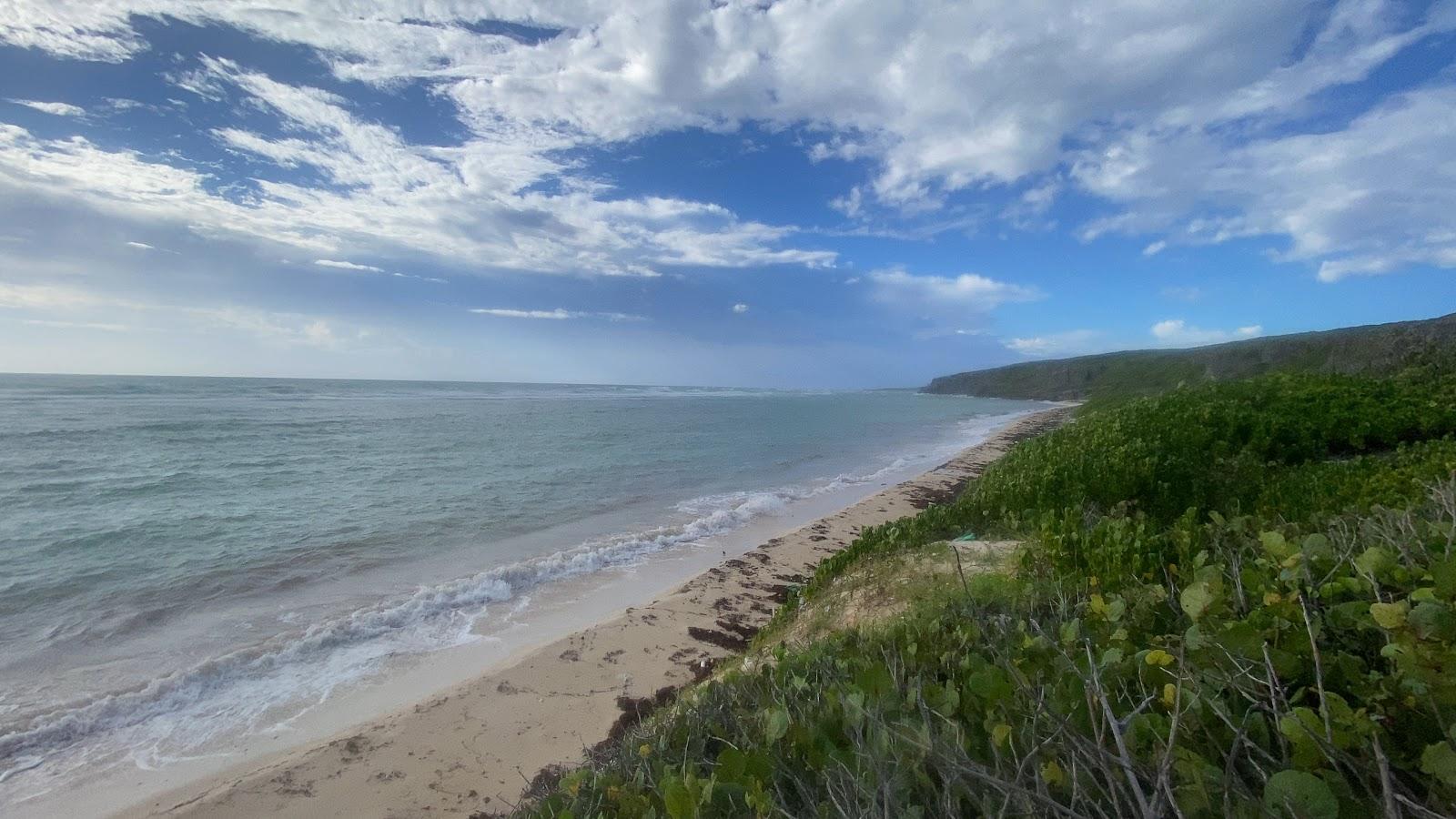 Sandee Playa Ferdina Photo