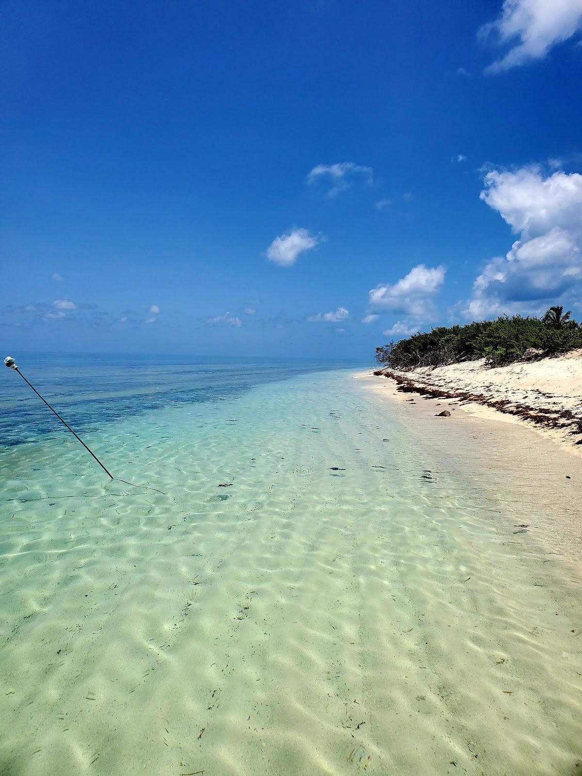 Sandee - Loggerhead Key