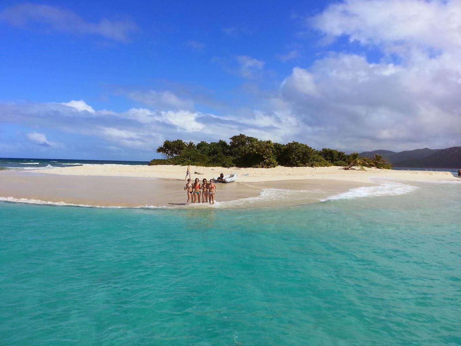 Sandee - Country / Sandy Spit Island