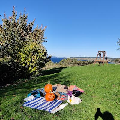 Sandee - Steilacoom Waterfront Lookout Point