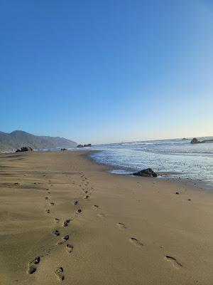 Sandee - Whaleshead Beach