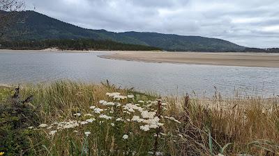 Sandee - Sand Lake Recreation Area