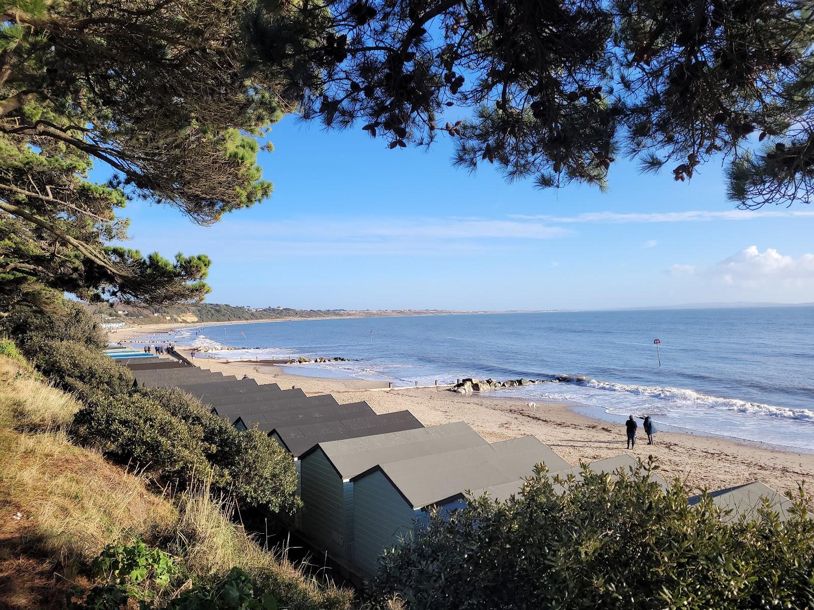 Sandee Friars Cliff Beach Photo