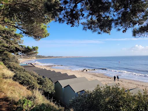 Sandee Friars Cliff Beach Photo