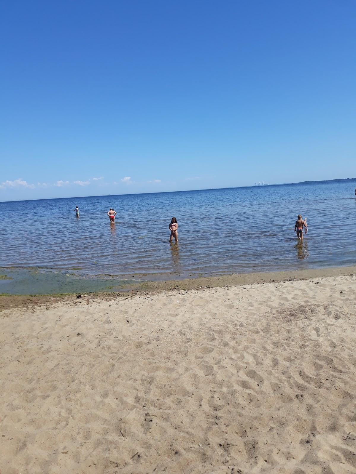 Sandee Bashnya Dibicha