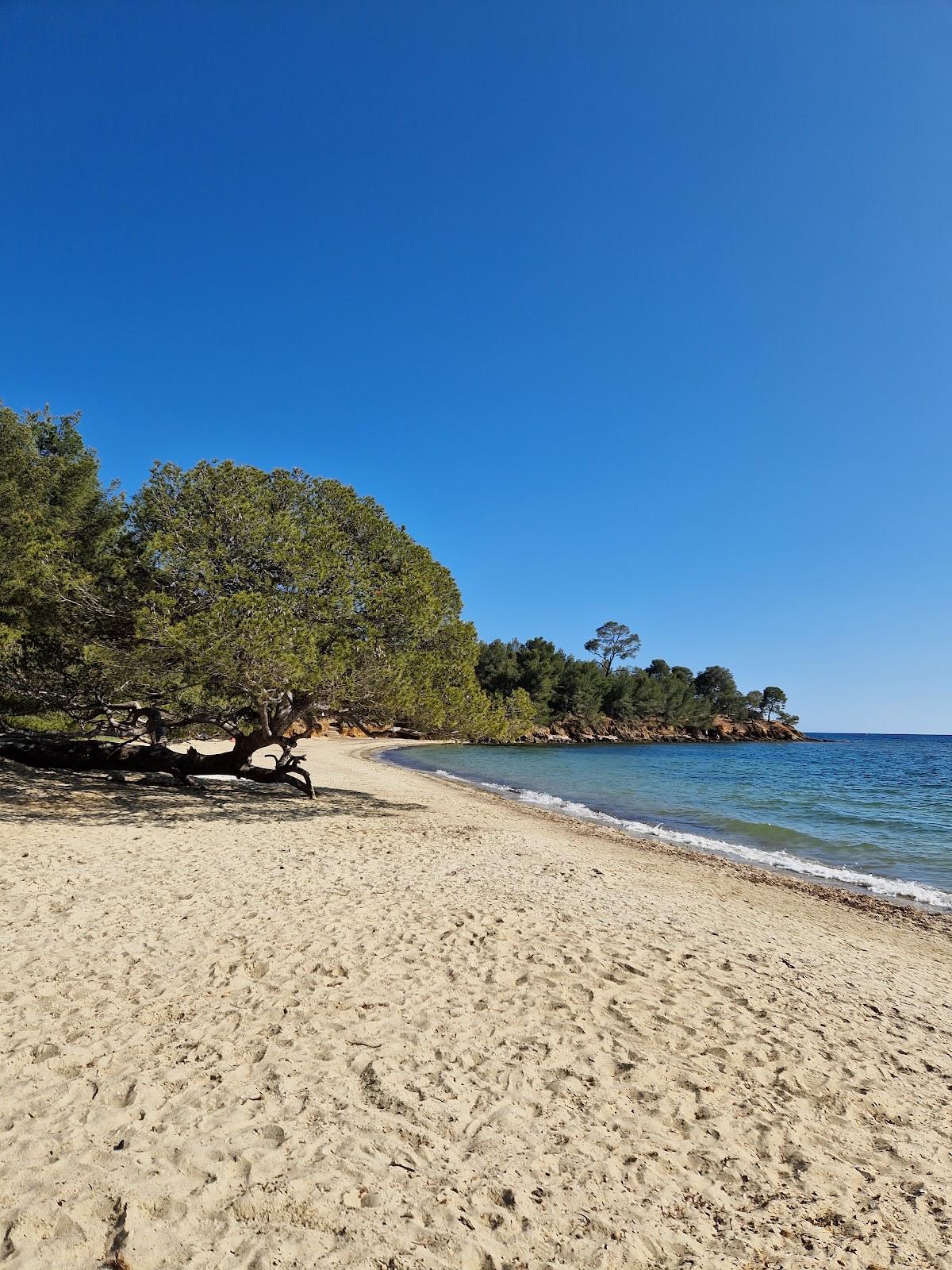 Sandee Plage Du Pellegrin Photo