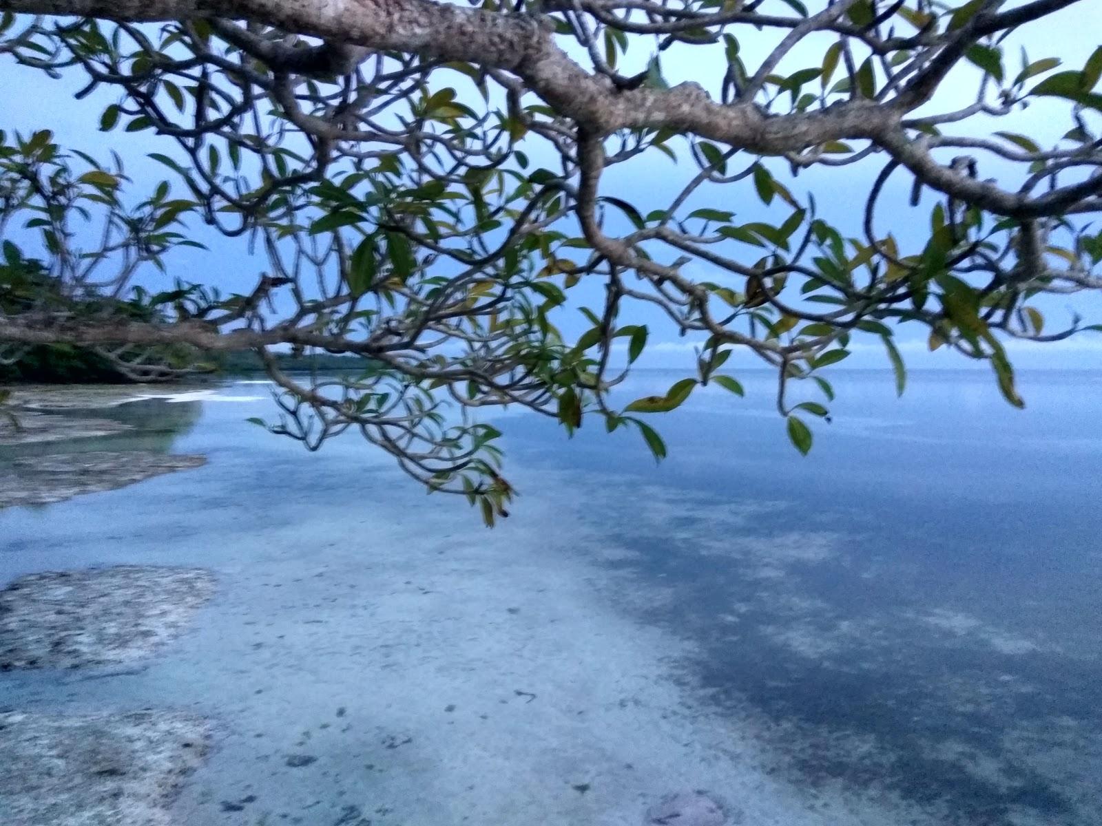 Sandee Pantai Gusi