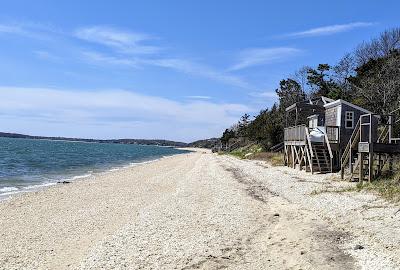 Sandee - New Suffolk Beach