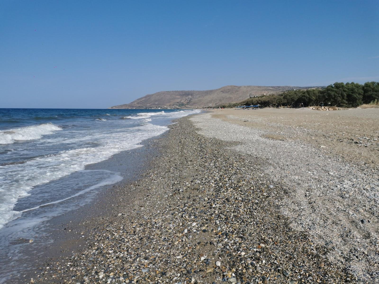 Sandee Episkopi Beach Photo