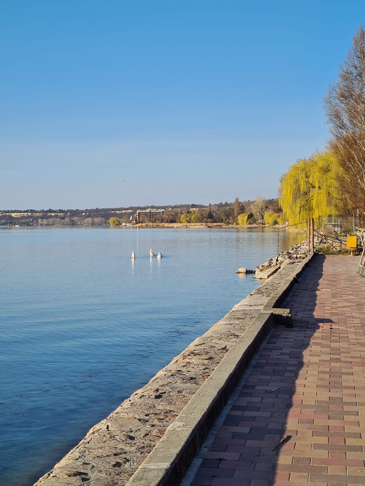 Sandee Balatonvilagos Beach