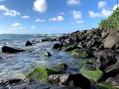 Sandee - Kawailoa Beach