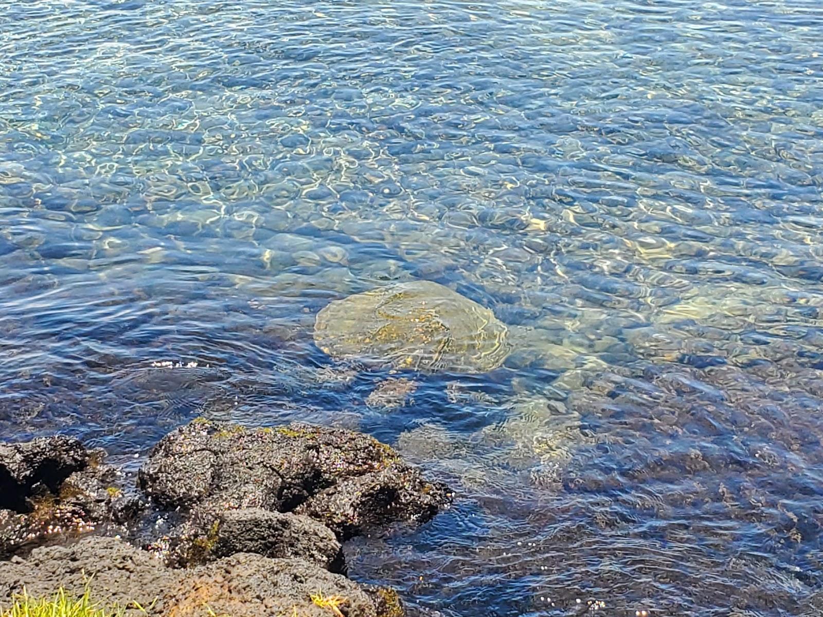 Sandee - Keaukaha Beach Park