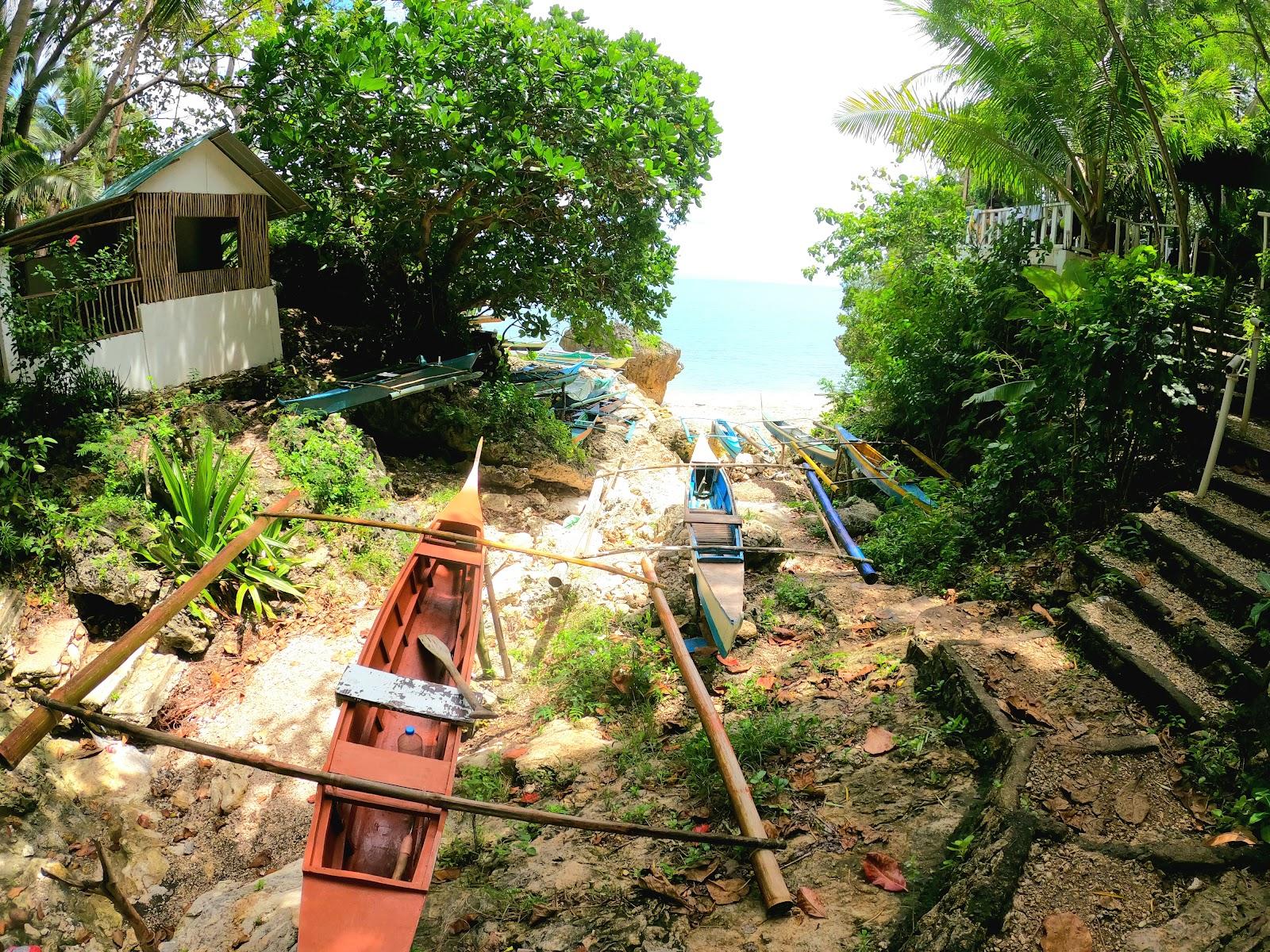 Sandee Bunzie's Cove 2