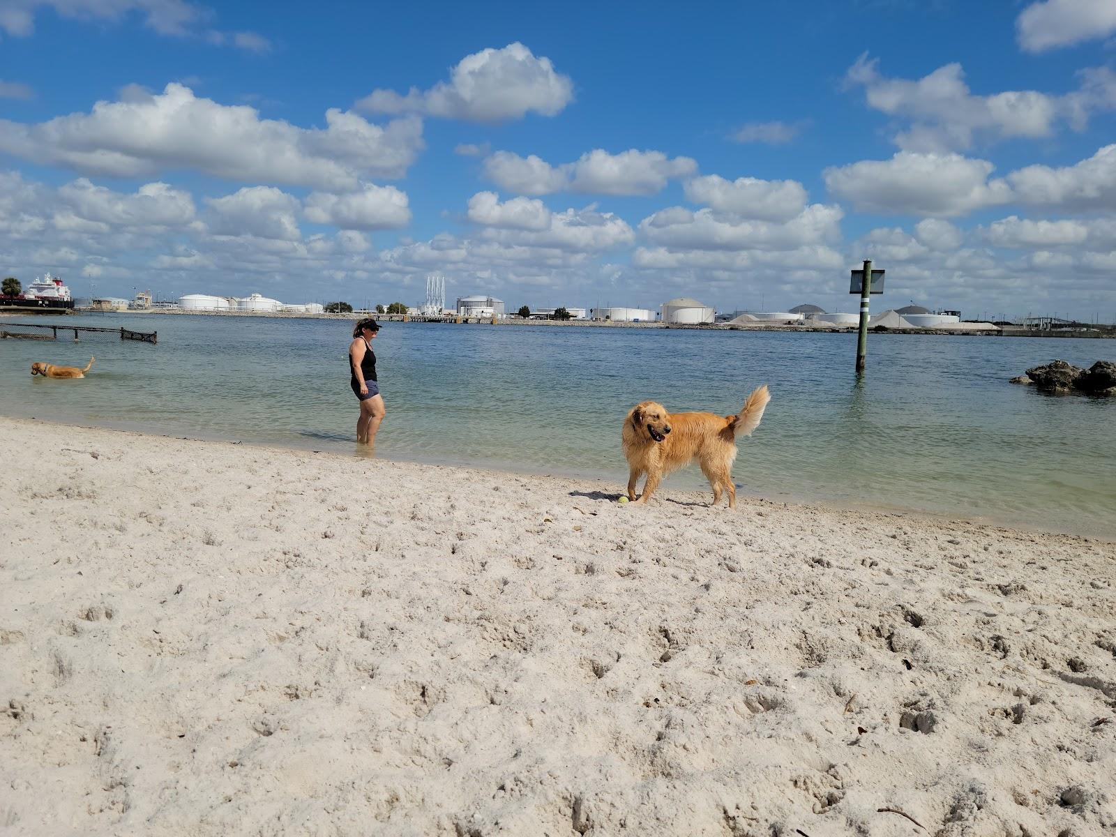 Sandee - Davis Island Dog Beach