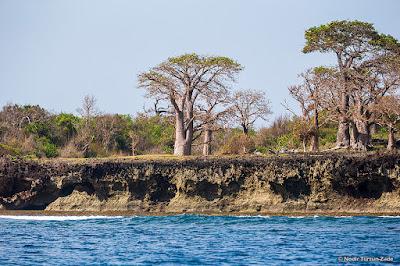 Sandee - Nyuma Maji Beach