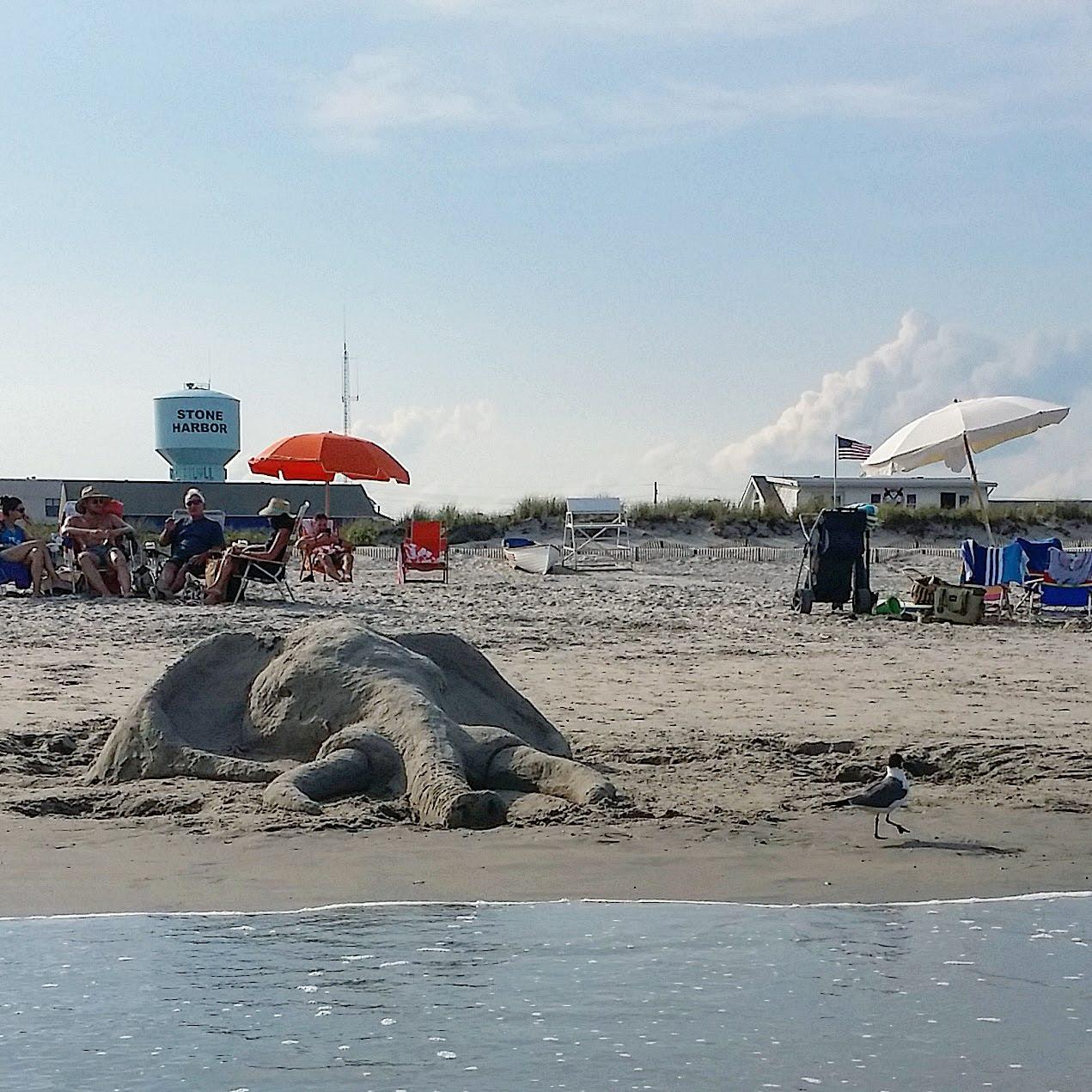 Sandee Balm Of Gilead Beach