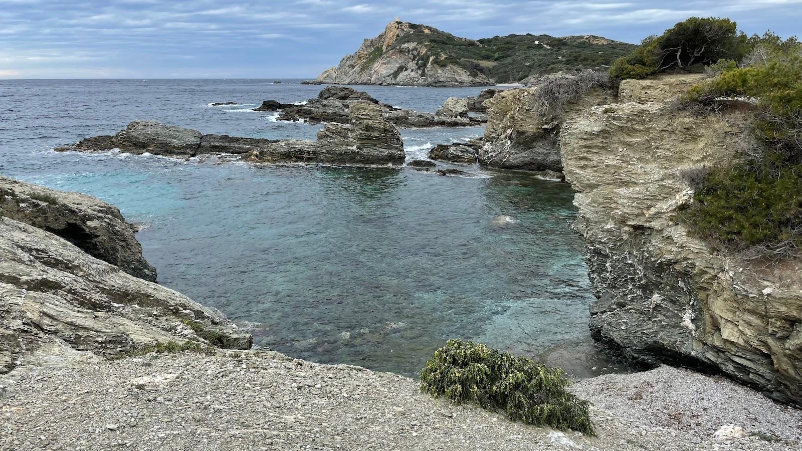 Sandee Plage Du Adrienne Photo