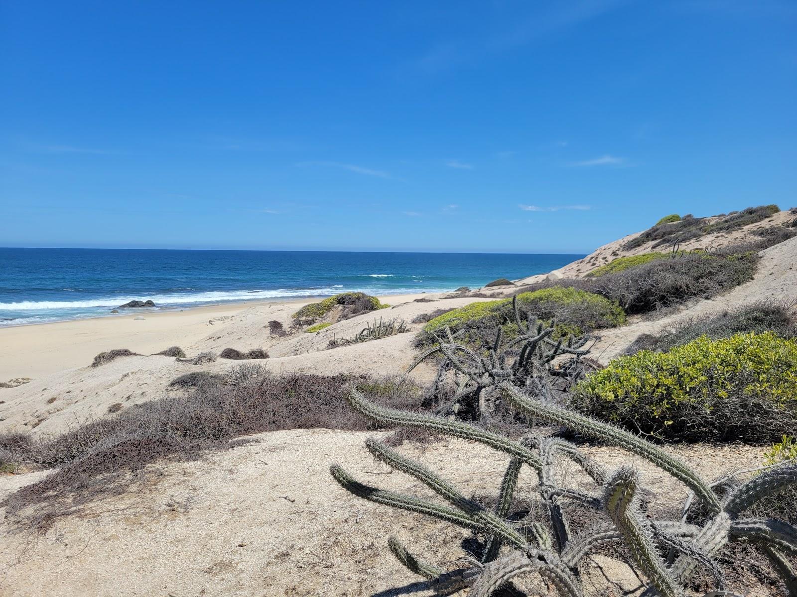 Sandee Playa Los Zacatitos Beach Photo