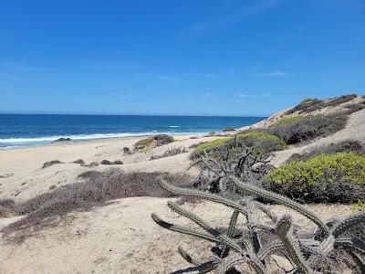 Vidanta East Cape Mexico Know BEFORE You Go