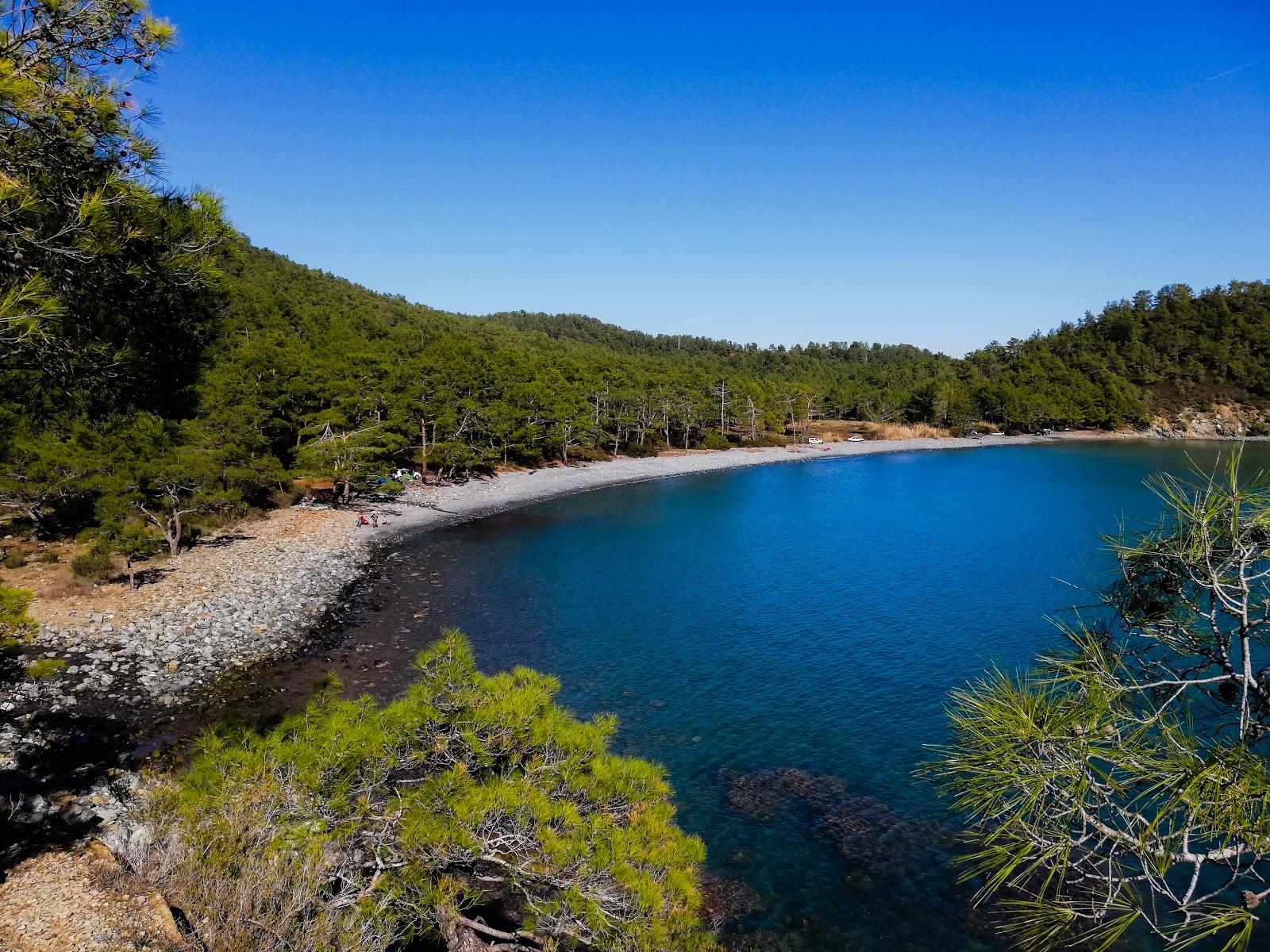 Sandee Maden Koyu - Beach