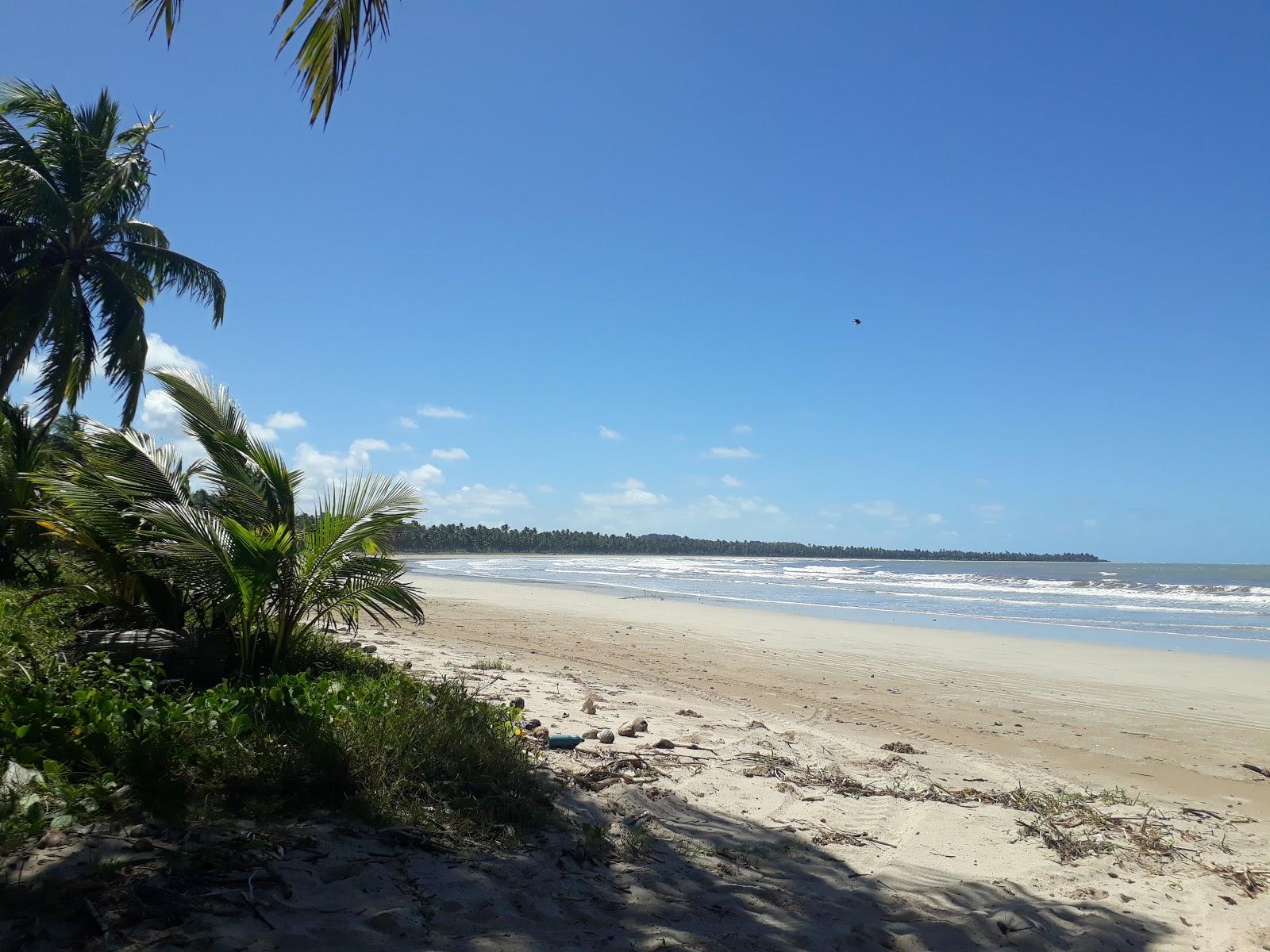 Sandee Praia Do Morro - Algoas Photo