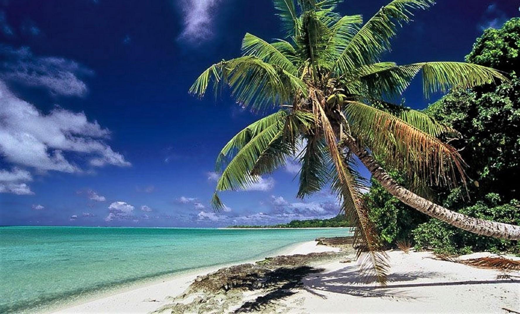Sandee Sologa Beach