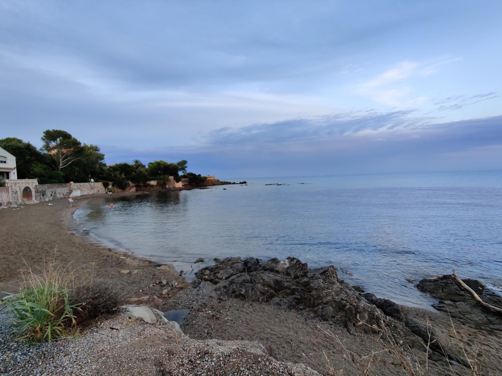 Sandee Calanque Des Corailleurs A Saint-Aygulf Photo