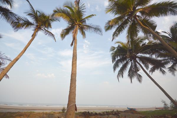 Sandee Om Shanti Beach Resort