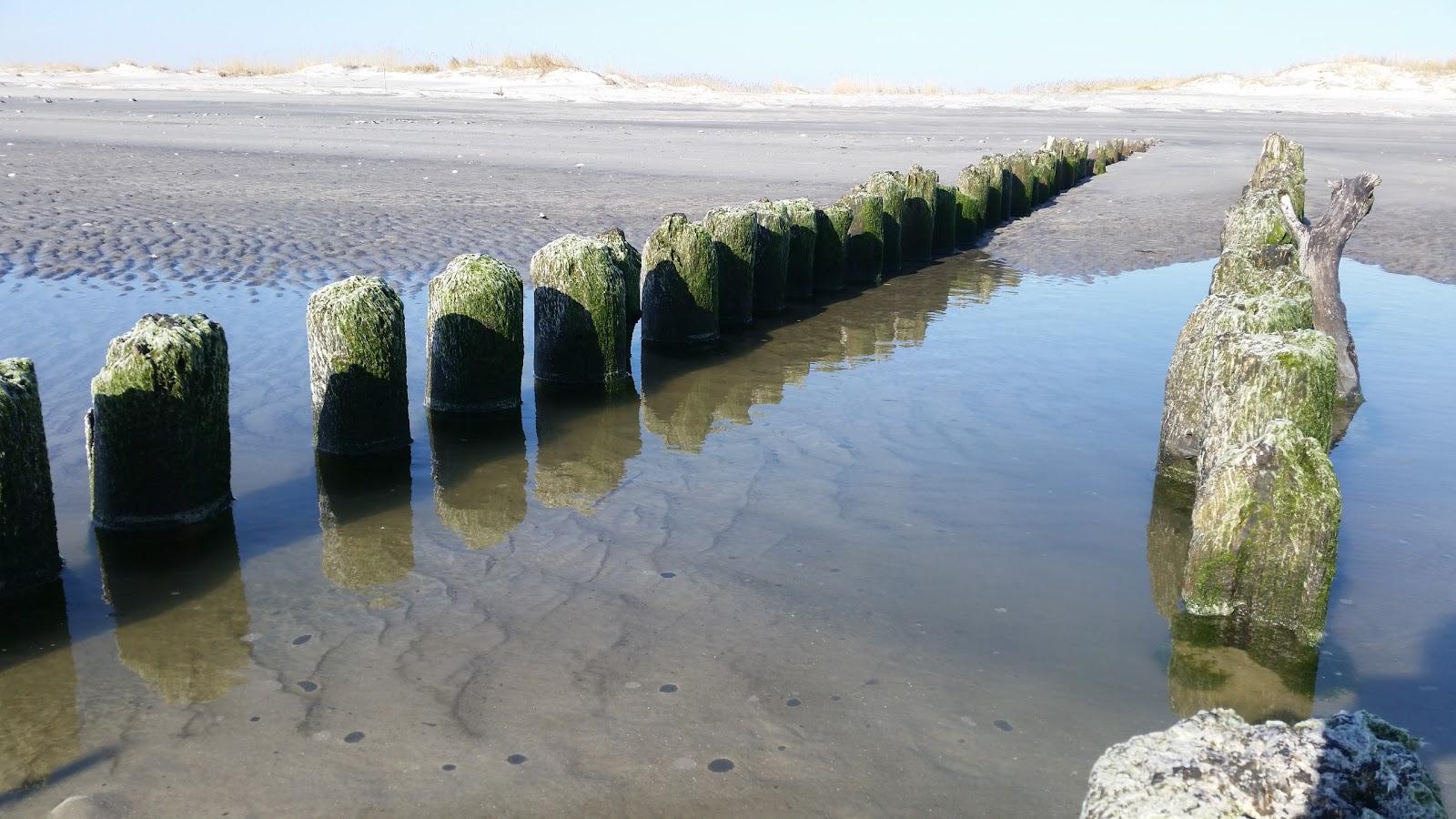 Sandee North Brigantine State Natural Area
