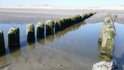 Sandee - North Brigantine State Natural Area