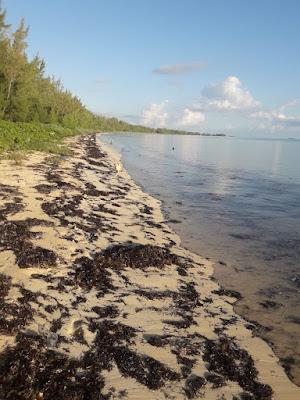 Sandee - Stanyard Creek Beach