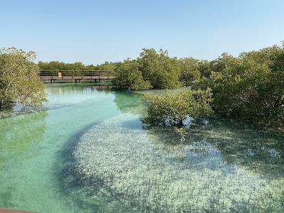 Sandee - Mangrove Park Red Sea Park