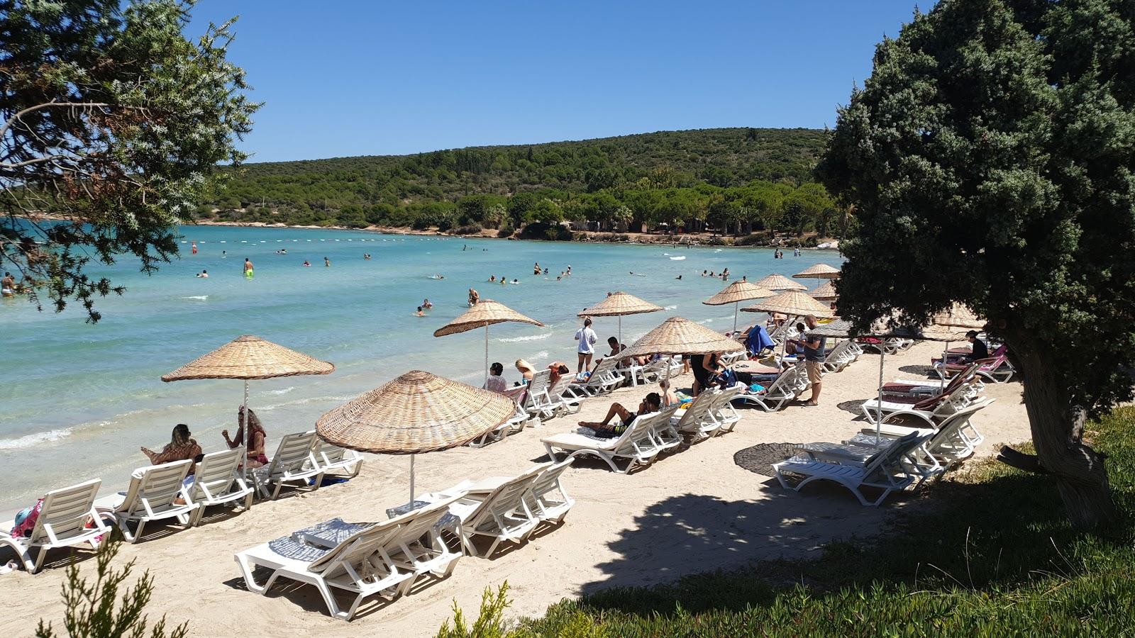 Sandee Quente Beach Club