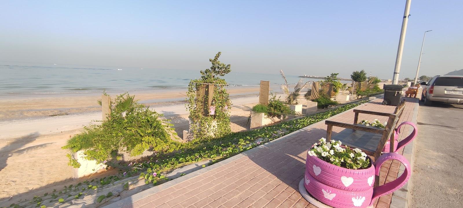 Sandee Shaam Beach
