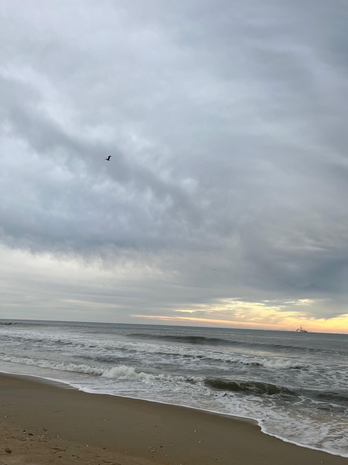 Sandee - Cape Hatteras National Seashore - Frisco