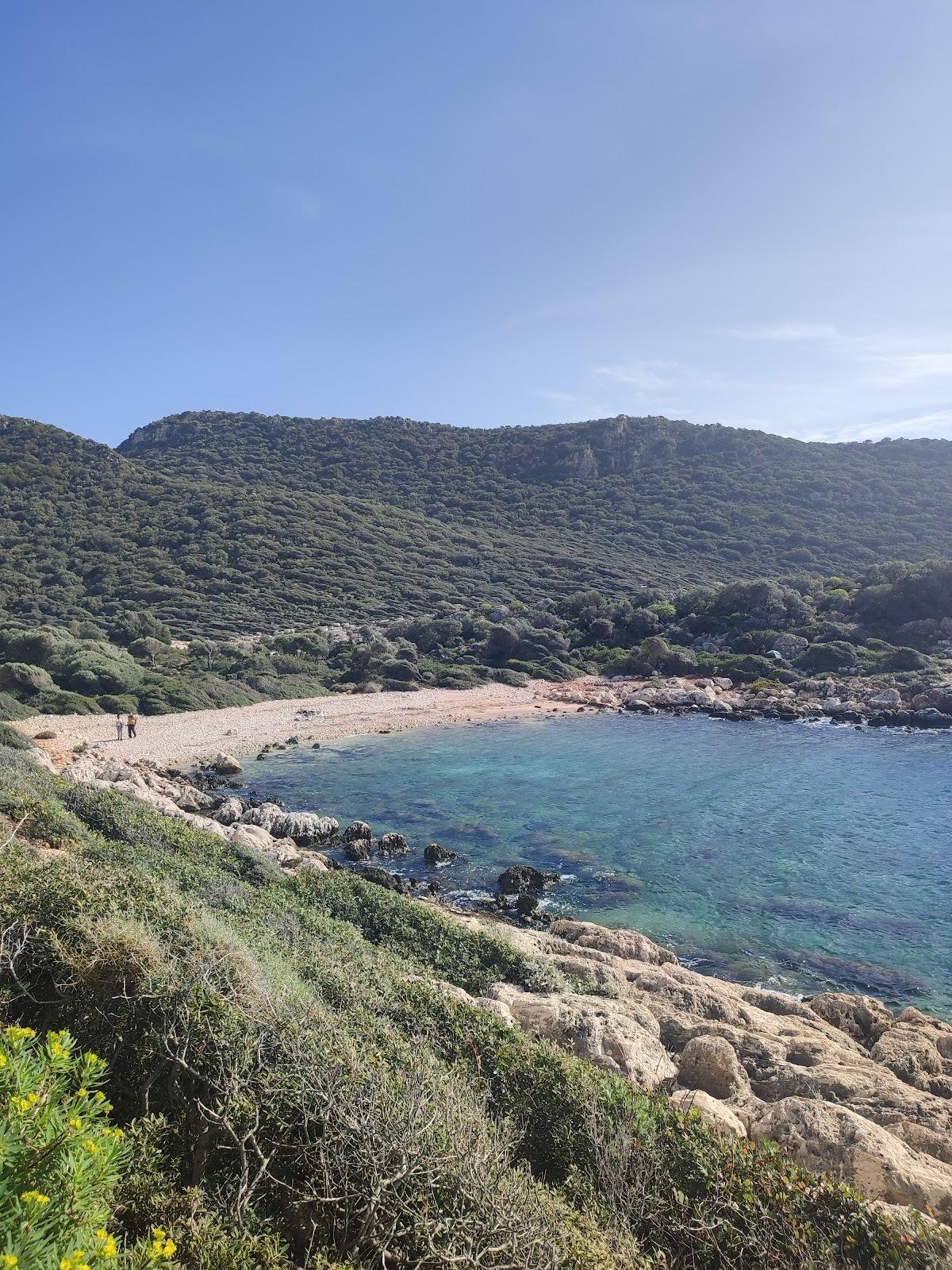 Sandee Choban Beach