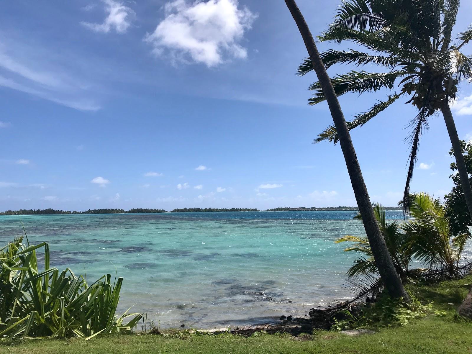 Sandee Ofu O Rau Point