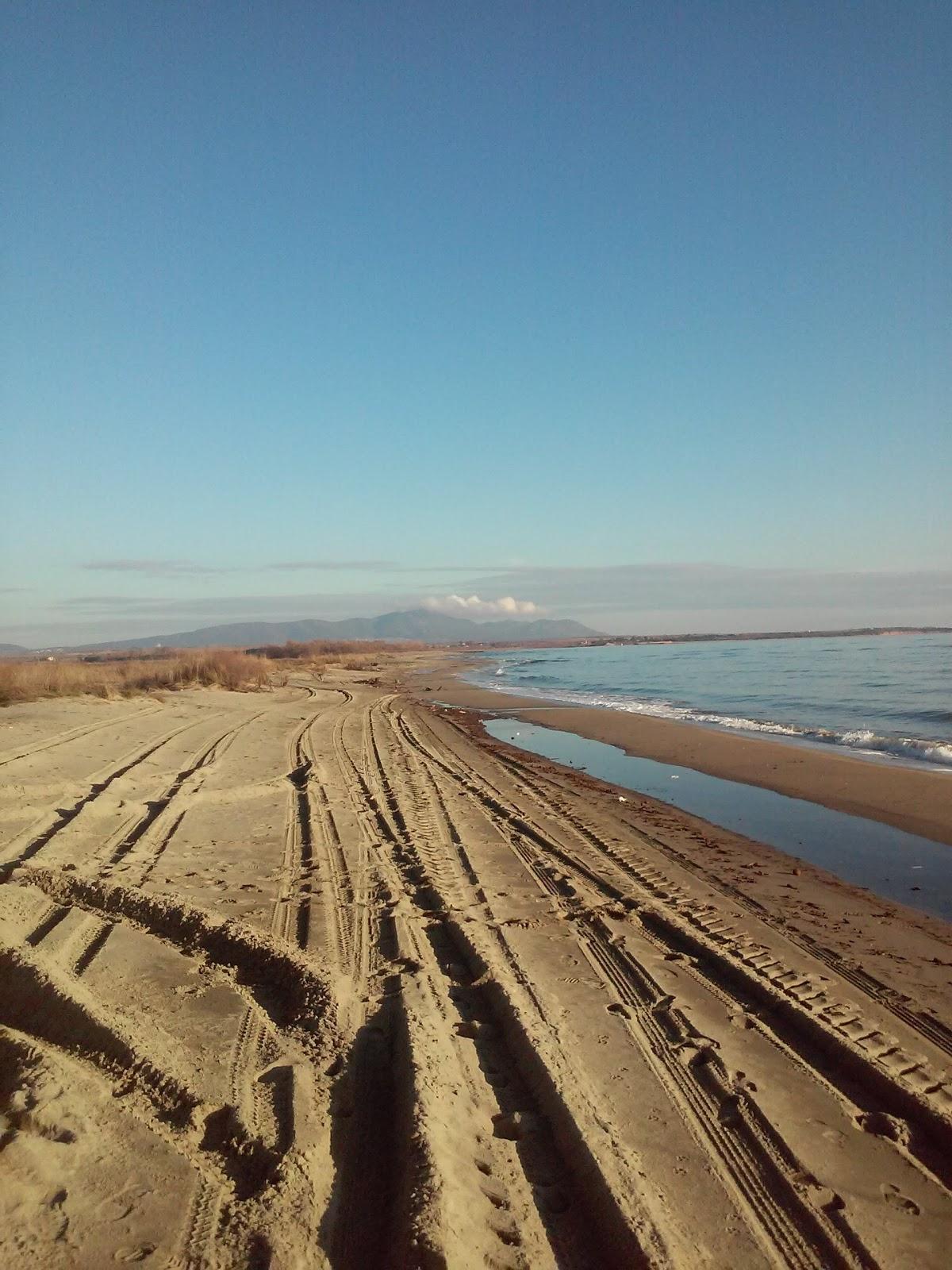 Sandee Marmara Island Beach