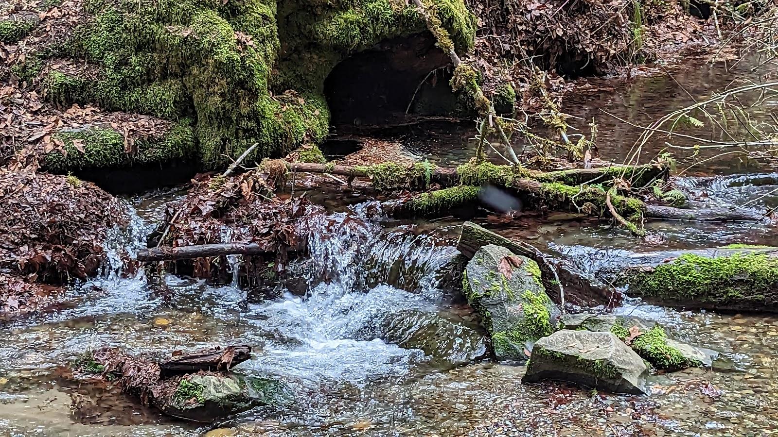 Sandee - Twanoh State Park