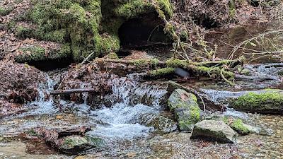 Sandee - Twanoh State Park