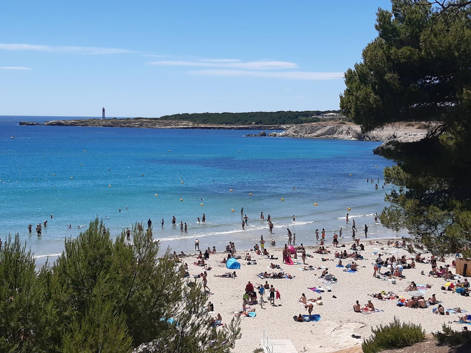 Sandee Plage De St Croix
