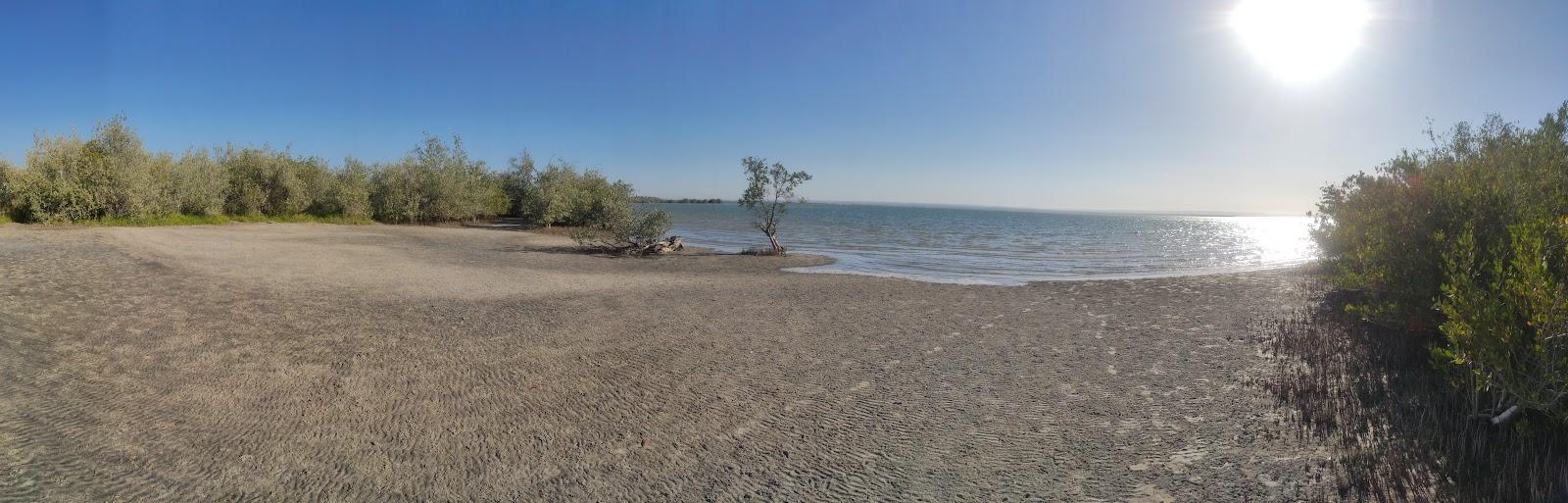 Sandee Estero Banderitas Conchalito