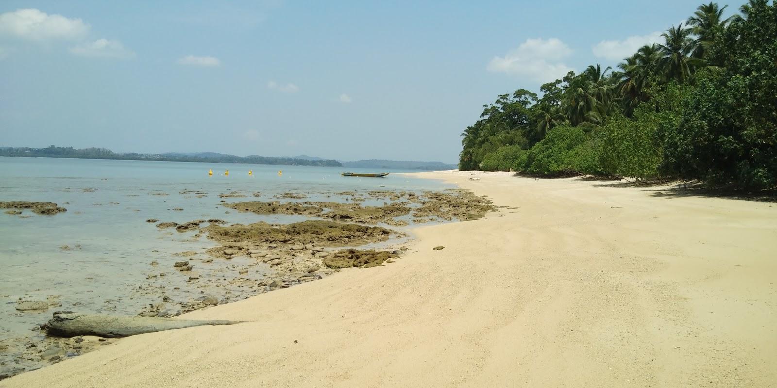 Sandee Avis Island
