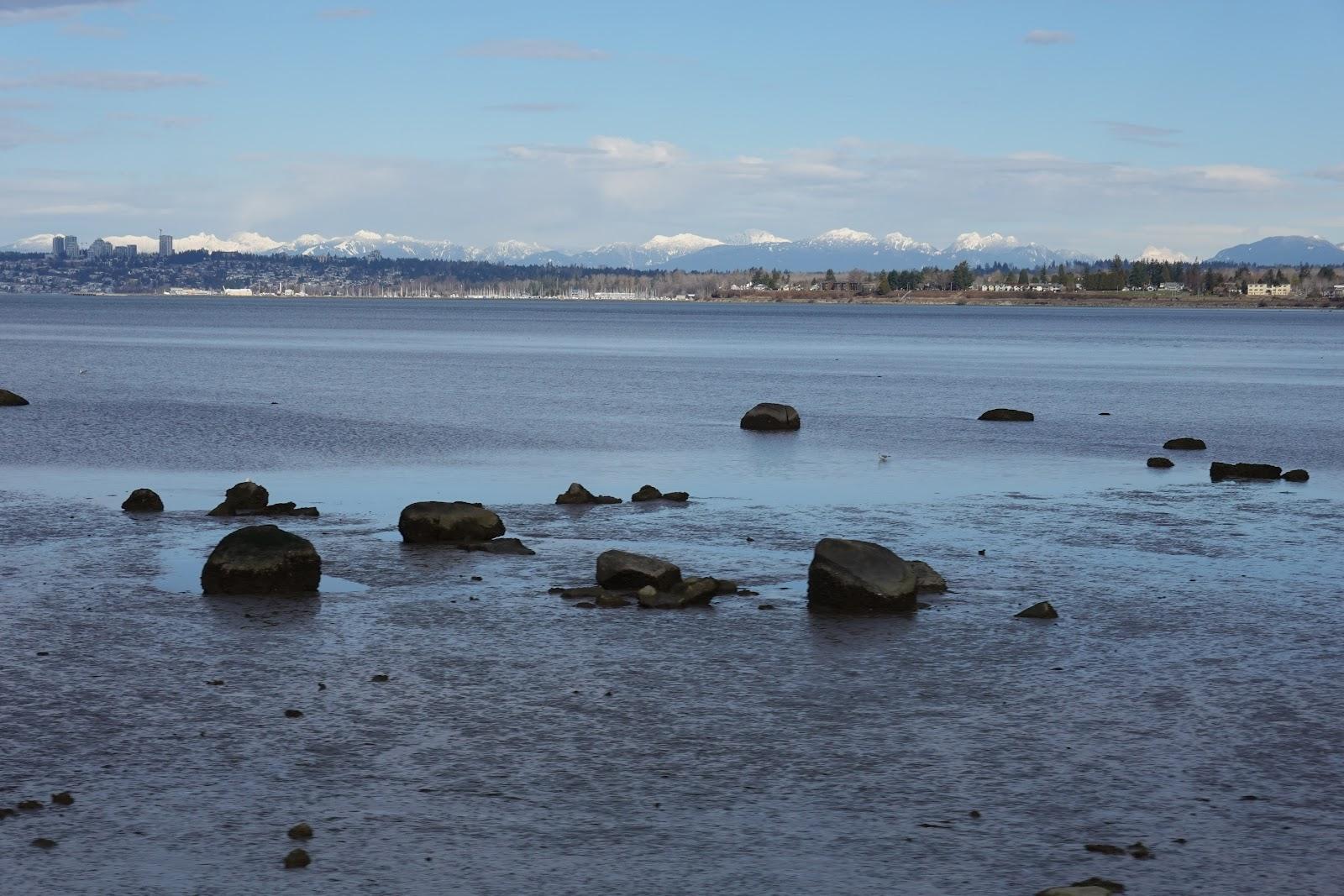 Sandee Drayton Harbor