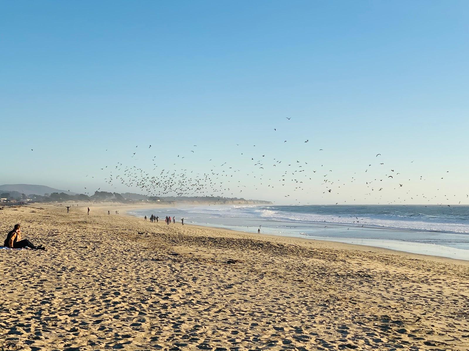 Sandee - Venice State Beach