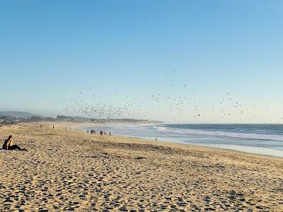 Sandee - Venice State Beach