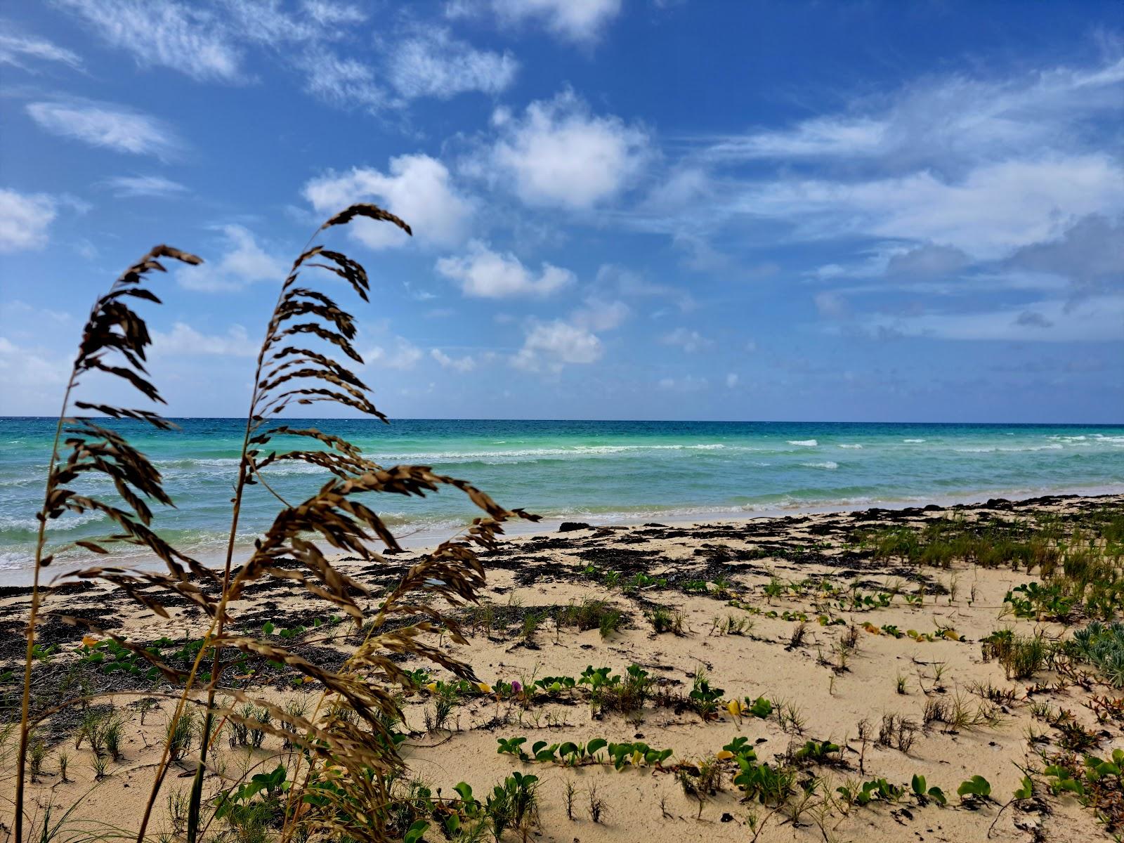 Sandee - Gold Rock Beach