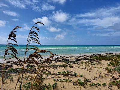 Sandee - Gold Rock Beach