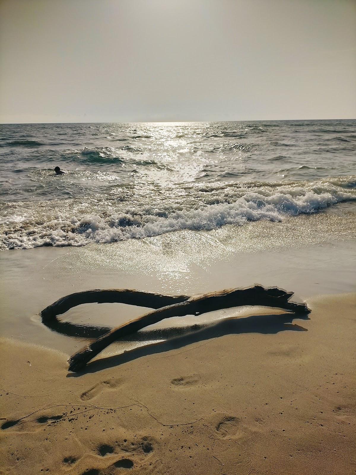 Sandee Spiaggia Della Macchia Lucchese Photo