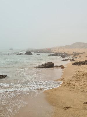 Sandee - Plage Daya Mansourya